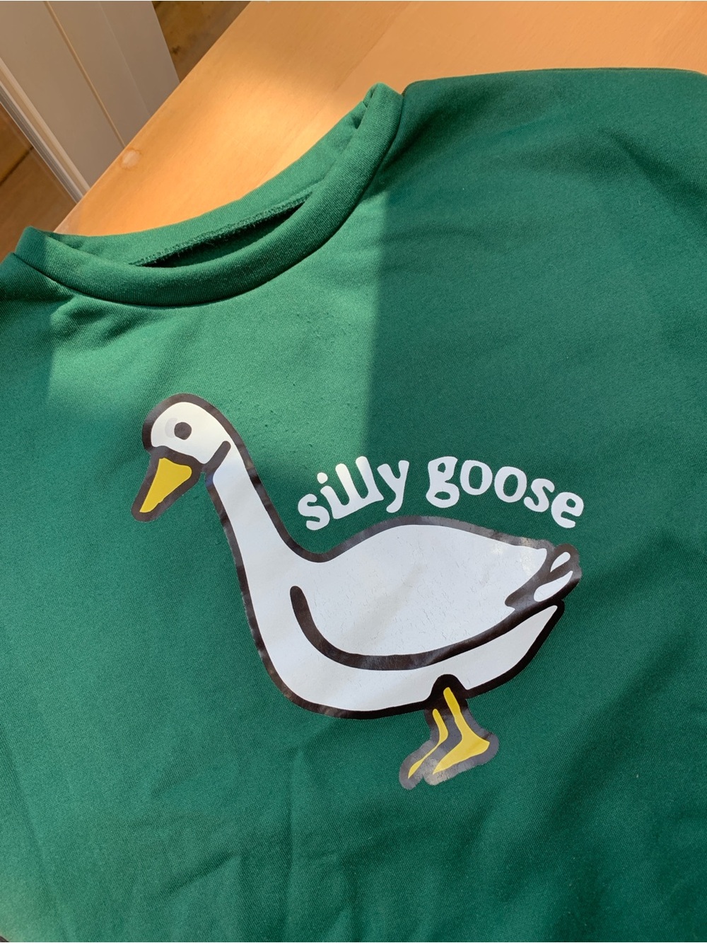 Shein Silly Goose Graphic Crewneck Sweatshirt Size L Green Funny Cottagecore
